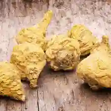 maca root
